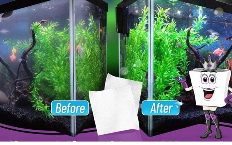 Aquarium Filter Maintenance: Best Practices Guide