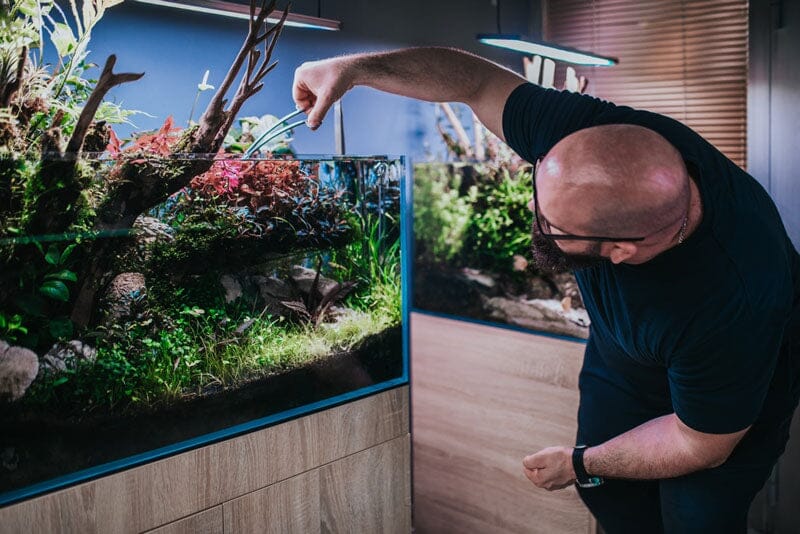 Ensuring Aquatic Health: The Significance of Water Testing in Aquariums and Ponds