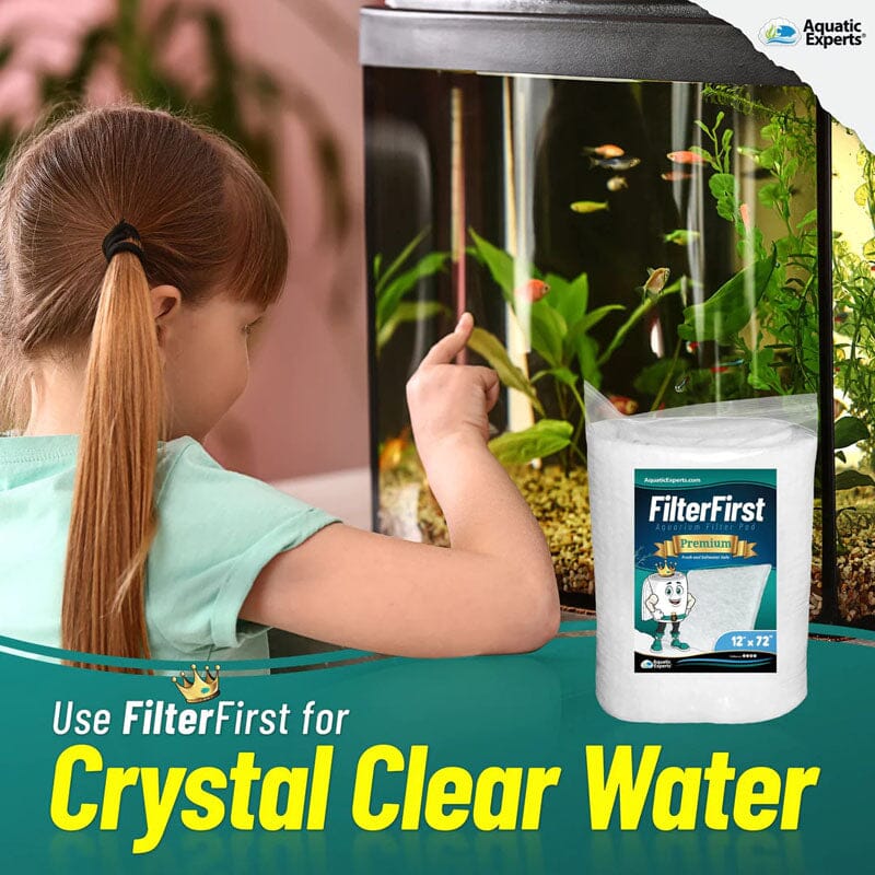 Types of Filtration and Filter Materials to use your aquarium