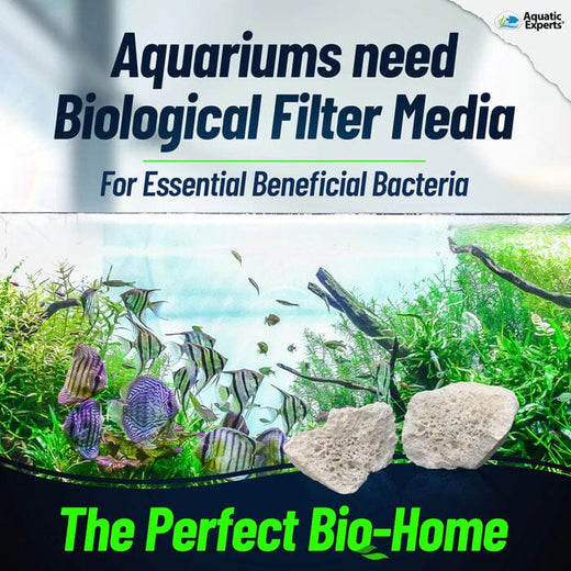 Filter Media Types A Detailed Overview of Their Pros & Cons Aquatic