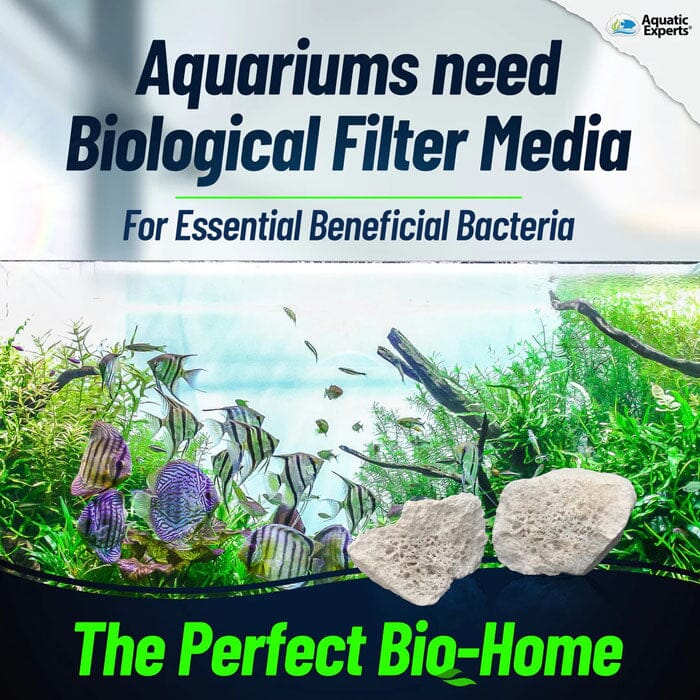 Filter Media Types: A Detailed Overview of Their Pros & Cons – Aquatic ...
