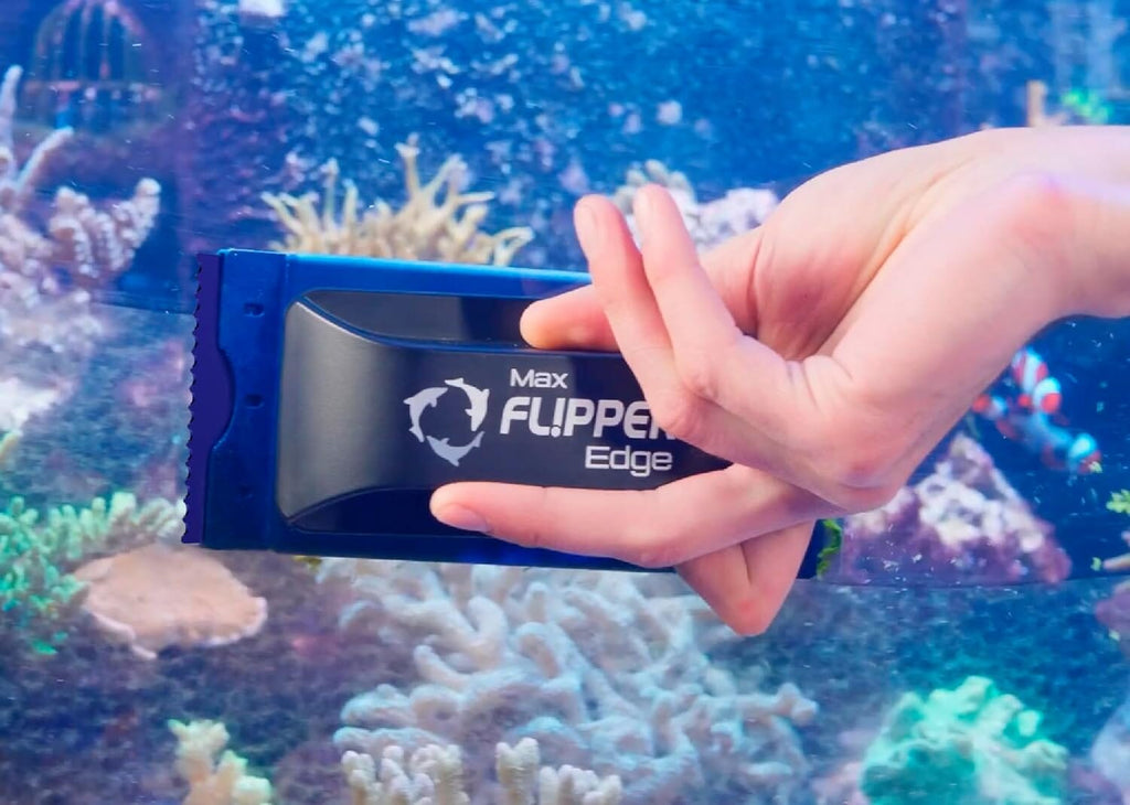 Flipper Edge Max Acrylic Safe Plastic Blades 10 Pack Replacement Blades Flipper Aquarium Products 