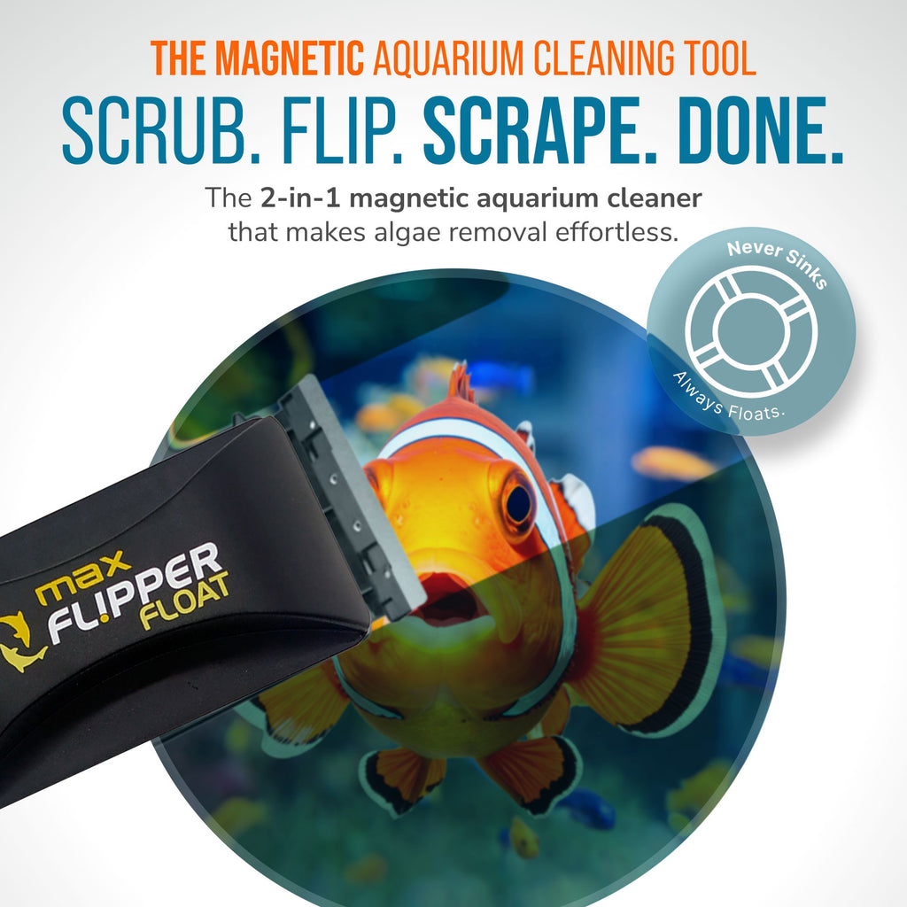 Flipper MAX FLOAT 2 in 1 Magnetic Aquarium Algae Cleaner Scrubber Flipper Aquarium Products 