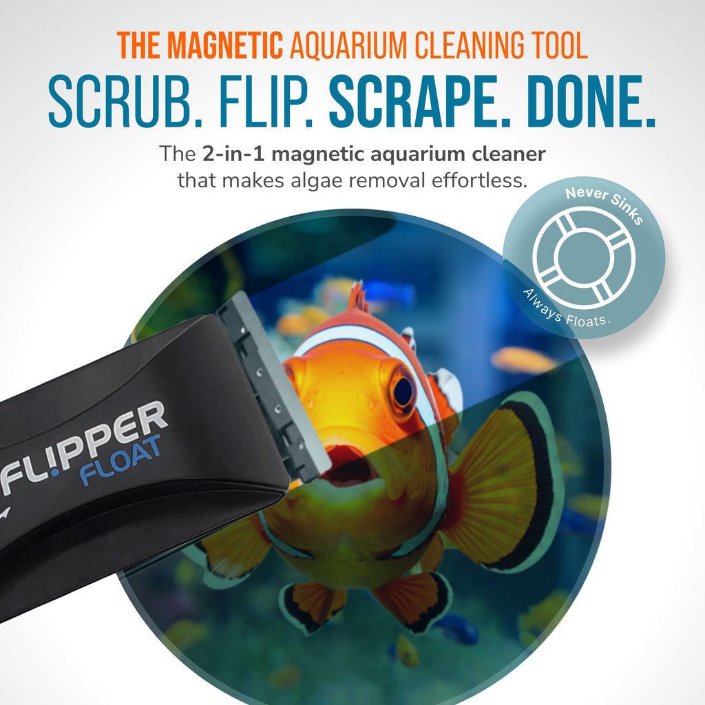 Flipper FLOAT 2 in 1 Magnetic Aquarium Algae Cleaner (Standard) Scrubber Flipper Aquarium Products 