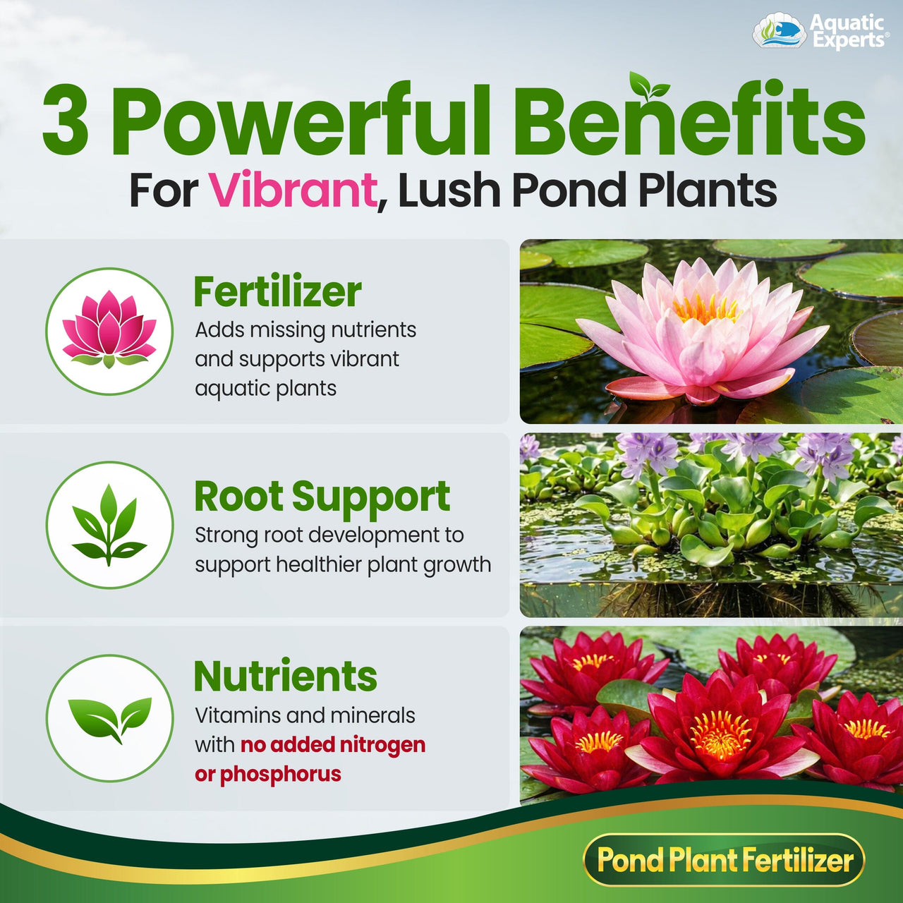 VitaPlant Pond Plant Fertilizer – Liquid Aquatic Plant Food, 500 mL Aquatic Experts 