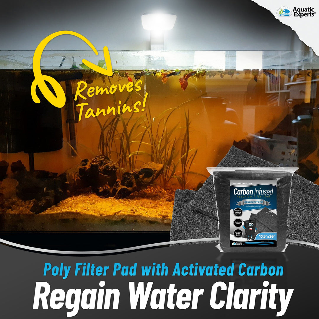 Fresh Look at Kloudaway Freshwater Aquarium Water Clarifier 500 Ml